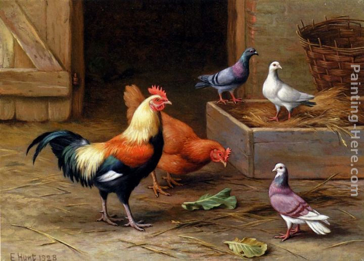 Chickens, Pigeons and a Dove painting - Edgar Hunt Chickens, Pigeons and a Dove art painting